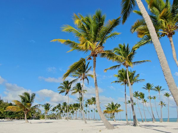 Quels sont les conseils pour une randonnée dans les montagnes de Pyrenees, Espagne?
